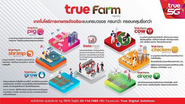 ทรู ดิจิทัล ส่ง “ทรู ฟาร์ม” เทคโนโลยีการเกษตรอัจฉริยะครบวงจร พลิกวงการเกษตรไทย