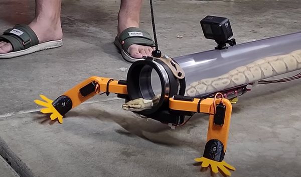 งูมีขา ช่างหาทำ! ยูทูบเบอร์สร้างหุ่นยนต์ขาเทียมสำหรับงู