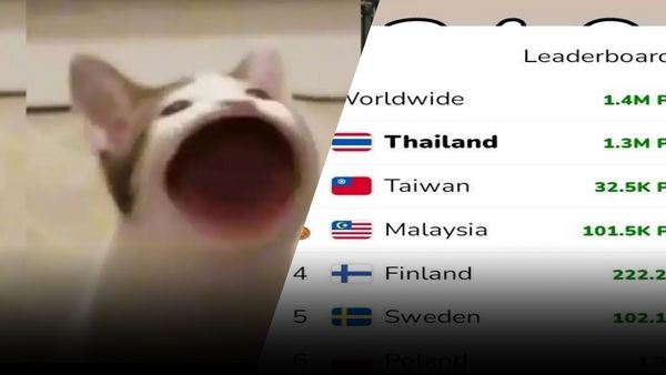 ทำไม Pop Cat ถึงดังเป็นพลุแตกในไทย !!