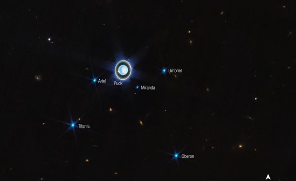กล้องโทรทรรศน์อวกาศเจมส์ เวบบ์จับภาพวงแหวนของดาวยูเรนัส