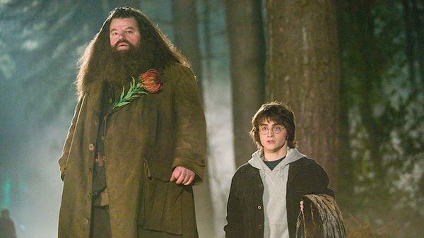 เสียชีวิตแล้ว!! 'ร็อบบี้ โคลเทรน’ ผู้สวมบท 'แฮกริด’ หนัง Harry Potter วัย 72 ปี