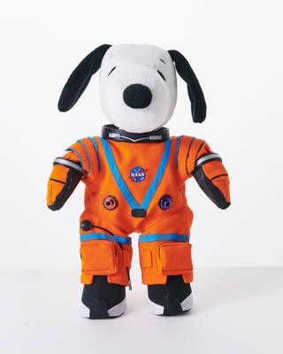 ส่อง 5 นักบินอวกาศตุ๊กตา ประจำภารกิจอาร์เทมิส 1