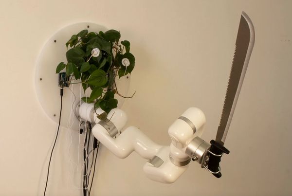 นักออกแบบเชื่อมต่อสัญญาณจากพืช สั่งการเคลื่อนไหวของหุ่นยนต์ควงมีดมาเชเต้