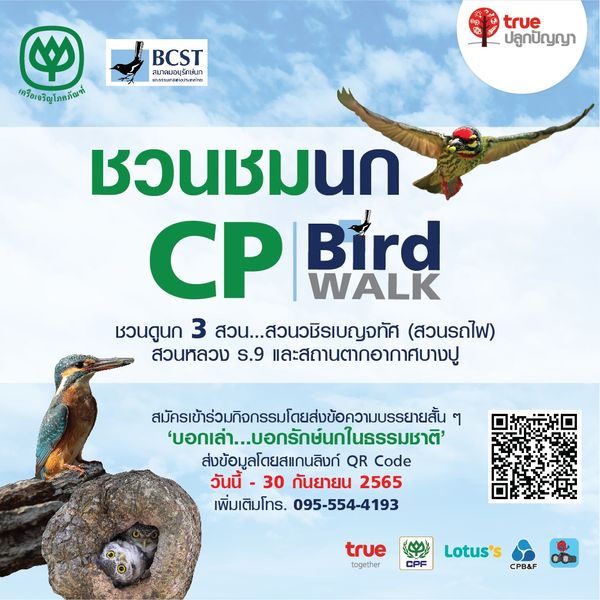 เครือ CP จับมือสมาคมอนุรักษ์นกและธรรมชาติ ฯ ชวนชมนก ‘CP Bird Walk’ ตลอดเดือนต.ค - ธ.ค 65