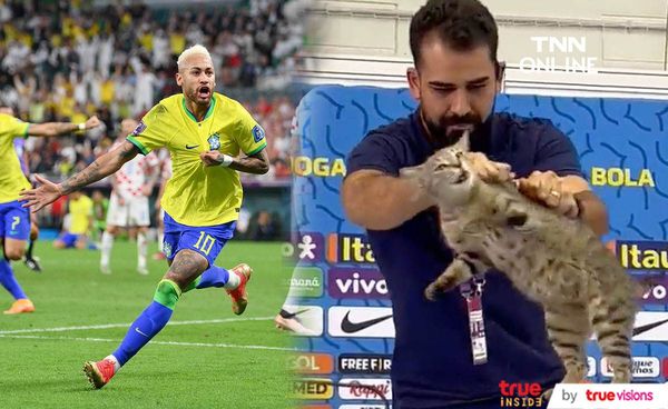 เมาท์สนั่น คำสาปแมว ทำบราซิลตกรอบฟุตบอลโลก!! 