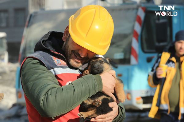 เปิดภาพสุดประทับใจ ‘ทีมกู้ภัยเข้าช่วยเหลือสุนัขแม่ลูกอ่อน’