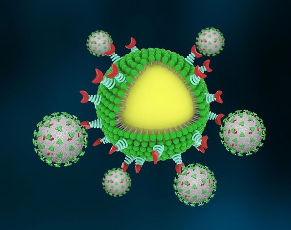 นักวิจัยคิดค้น กับดักไวรัส ทางเลือกใหม่ในการรักษา COVID-19