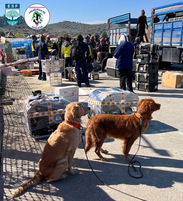 สิ้นสุดภารกิจช่วยเหลือ เปิดภาพ เซียร่า-ซาฮาร่า 2 สุนัขกู้ภัย เตรียมตัวเดินทางกลับไทย