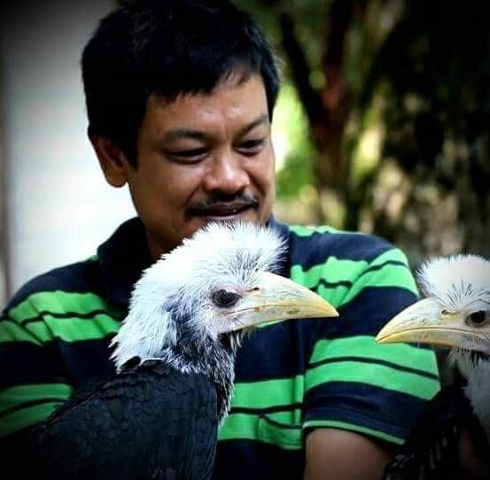 นักอนุรักษ์ ดัน 'นกเงือกชนหิน' เป็นสัตว์ป่าคุ้มครองอันดับ 20 ของไทย