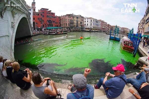 เปิดภาพ น้ำในคลองเวนิส กลายเป็นสีเขียวเรืองแสง โดยไม่ทราบสาเหตุ
