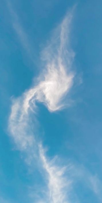 ฮือฮาส่งท้ายหยุดยาว ก้อนเมฆรูปพญานาค โผล่บนท้องฟ้ากระบี่