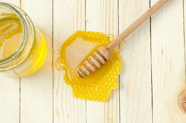ชิปประมวลผลจาก น้ำผึ้ง ย่อยสลายง่าย ไม่เกิดขยะอิเล็กทรอนิกส์