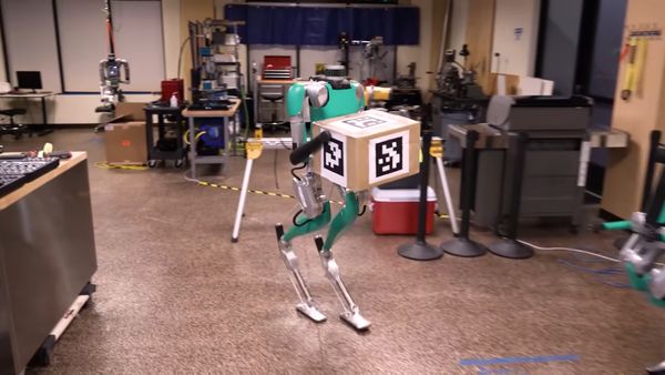 พบกับ “Digit” หุ่นยนต์เซเทอร์แสนขยันที่จะมาช่วยคุณยกของได้สบาย ๆ