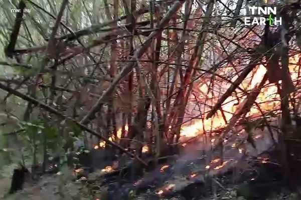  “เลย” ไฟไหม้ป่า 3 วัน ลามขึ้นถนนเลย-ภูเรือ เสียหาย กว่า 1000 ไร่