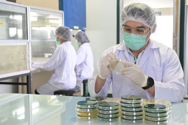 นักวิชาการ CPF ชู “โปรไบโอติก” นวัตกรรมการเลี้ยงกุ้งปลอดภัย ปลอดโรค ปลอดสาร