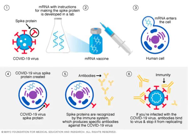Moderna พัฒนาวัคซีนต้านมะเร็ง ด้วยเทคโนโลยีด้าน mRNA