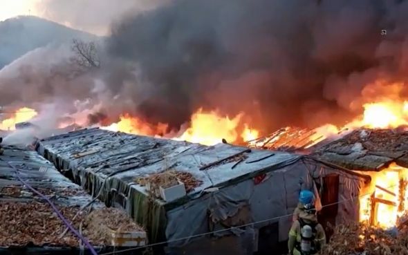 ไฟไหม้สลัมกรุงโซล บ้านถูกเผาวอด 60 หลัง อพยพคนหลายร้อย!