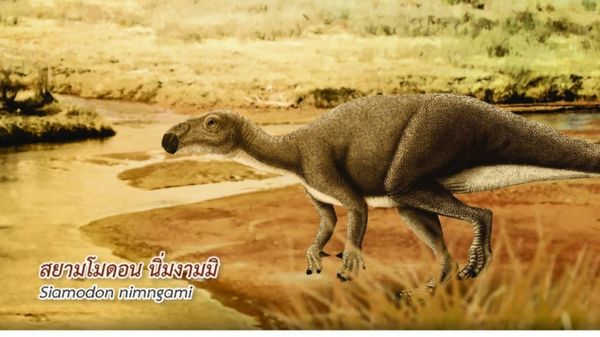 “มินิโมเคอร์เซอร์ ภูน้อยเอนซิส”  “ไดโนเสาร์ชนิดใหม่ของโลก พบในไทย           