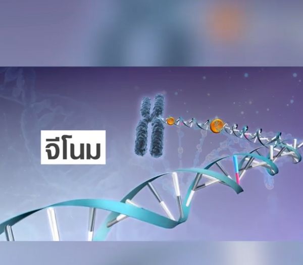 “จีโนมิกส์” การแพทย์แห่งอนาคต สู้โรคด้วยรหัสพันธุกรรม