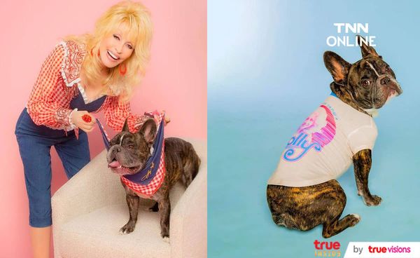 Dolly Parton เปิดแบรนด์ขายสินค้าสำหรับสัตว์น้องหมา  Doggy Parton