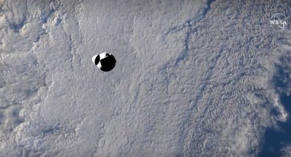 แข็งแกร่งที่สุดในโลก! ’หมึกน้อย’ ขี่จรวด SpaceX Dragon ถึงสถานีอวกาศแล้ว