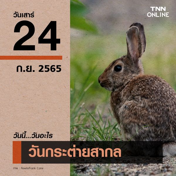 วันนี้วันอะไร 24 กันยายน ตรงกับ “วันกระต่ายสากล”