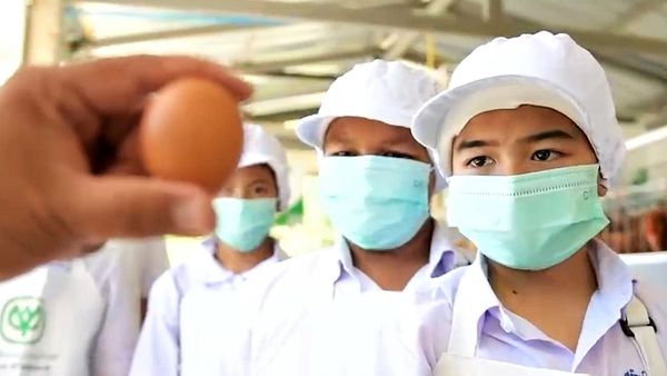 ซีพีเอฟเดินหน้าหนุน “โครงการเลี้ยงไก่ไข่เพื่ออาหารกลางวันนักเรียน”