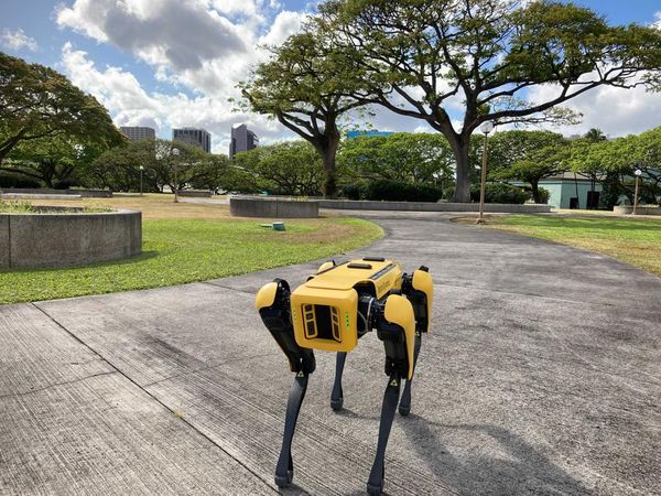 ตำรวจฮาวายเอาหมาหุ่นยนต์ Spot มาใช้ตรวจโควิด-19 !!