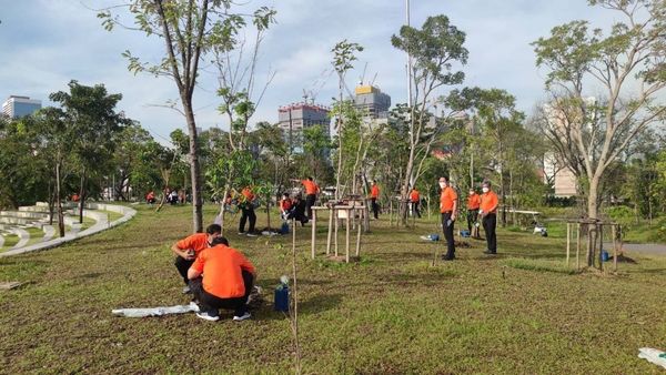MEA ร่วมสนับสนุนโครงการ ปลูกต้นไม้ 1 ล้านต้นกับกรุงเทพมหานคร
