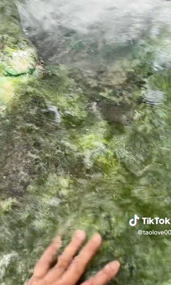ถกสนั่น TikTok หินเขียวใต้สระมรกต จ.กระบี่ ทาสีหรือธรรมชาติ?