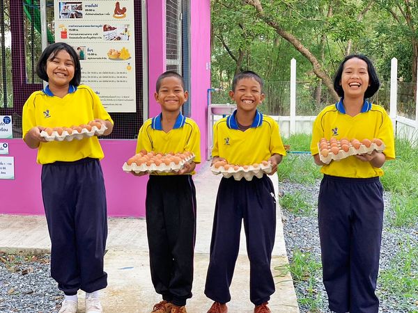 โรงเรียนบ้านแก้วเพชรพลอย จ.สระแก้ว สอนทักษะอาชีพ-สร้างคลังอาหาร “โครงการเลี้ยงไก่ไข่เพื่ออาหารกลางวันนักเรียน”