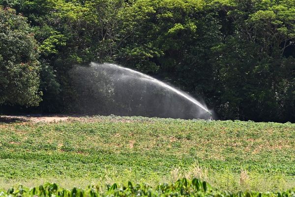 ซีพีเอฟ ดันโครงการปันน้ำปุ๋ยสู่เกษตรกร ต่อเนื่องปีที่ 20