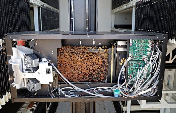 อิสราเอลพัฒนา รังผึ้งอัจฉริยะ เลี้ยงดูผึ้งด้วยเทคโนโลยี AI