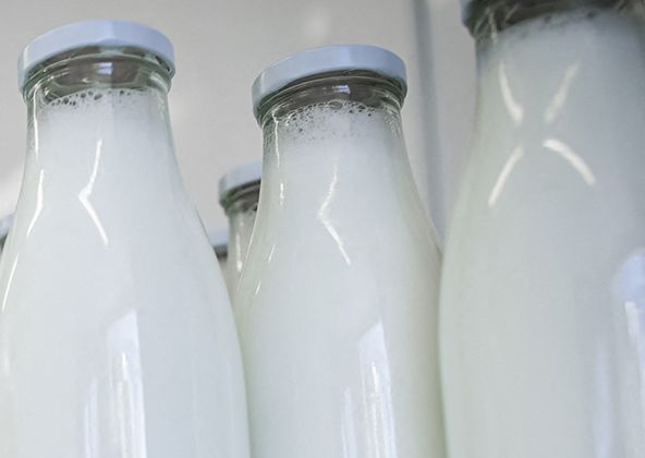 นมพาสเจอร์ไรส์ สเตอริไลซ์ ยูเอชที ต่างกันอย่างไร ควรดื่มนมแบบไหนดี?