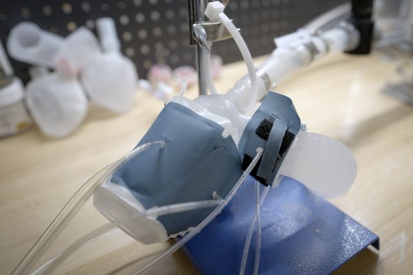 MIT สร้างระบบหัวใจจำลองพิมพ์ 3 มิติ เลียนแบบหัวใจผู้ป่วยช่วยแพทย์เห็นภาพชัดขึ้น
