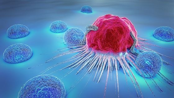 นักวิทย์ฯ คิดค้นยากำจัดมะเร็ง ด้วยกลไก สั่งปิดโรงงาน ของเซลล์
