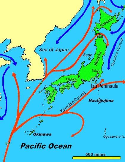 ญี่ปุ่นปล่อยสารเคมีลงทะเล กระทบไทยไหม-ซีฟู้ดนำเข้ากินได้หรือไม่? 