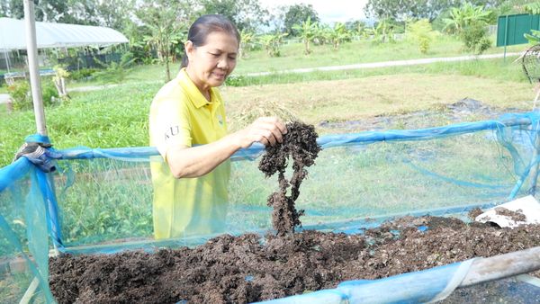 APEC 2022 เกษตรกรตรังดีใจ ผักปลอดสารไทย ขึ้นโต๊ะอาหารเอเปค