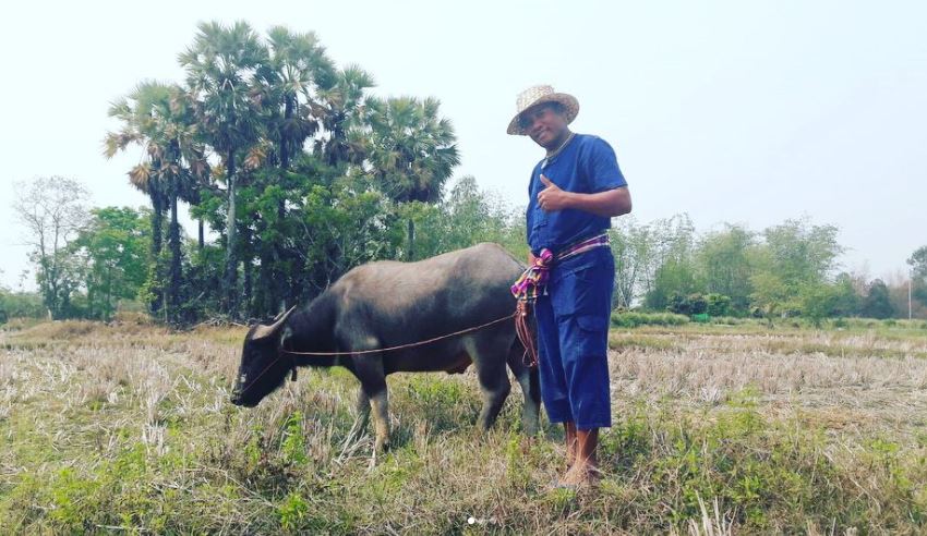 เปิดประวัติ ไมค์ ภิรมย์พร ศิลปินลูกทุ่งชื่อดังสู่ชีวิตเกษตรกร กับธุรกิจน้ำปลาร้า 