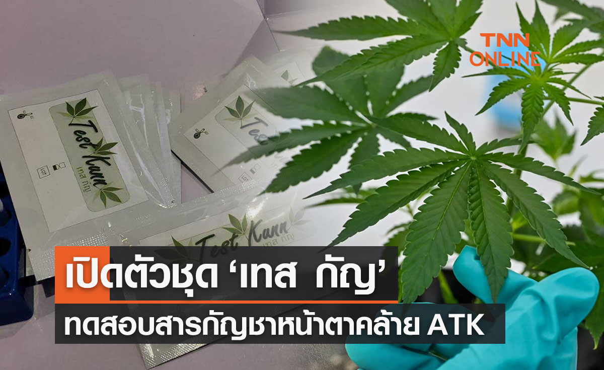 เปิดตัว 'เทส กัญ' ชุดทดสอบสารกัญชา หน้าตาเป็นแบบนี้ คล้าย ATK 