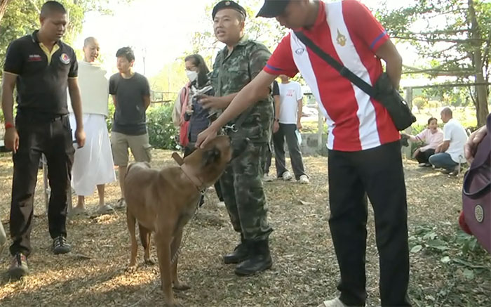 โคราชคึกคักประมูล ‘สุนัขทหารสอบตก’ นำไปเป็นสัตว์เลี้ยง ราคาสูงสุดเกือบแสน โคราชคึกคักประมูล ‘สุนัขทหารสอบตก’ นำไปเป็นสัตว์เลี้ยง ราคาสูงสุดเกือบแสน