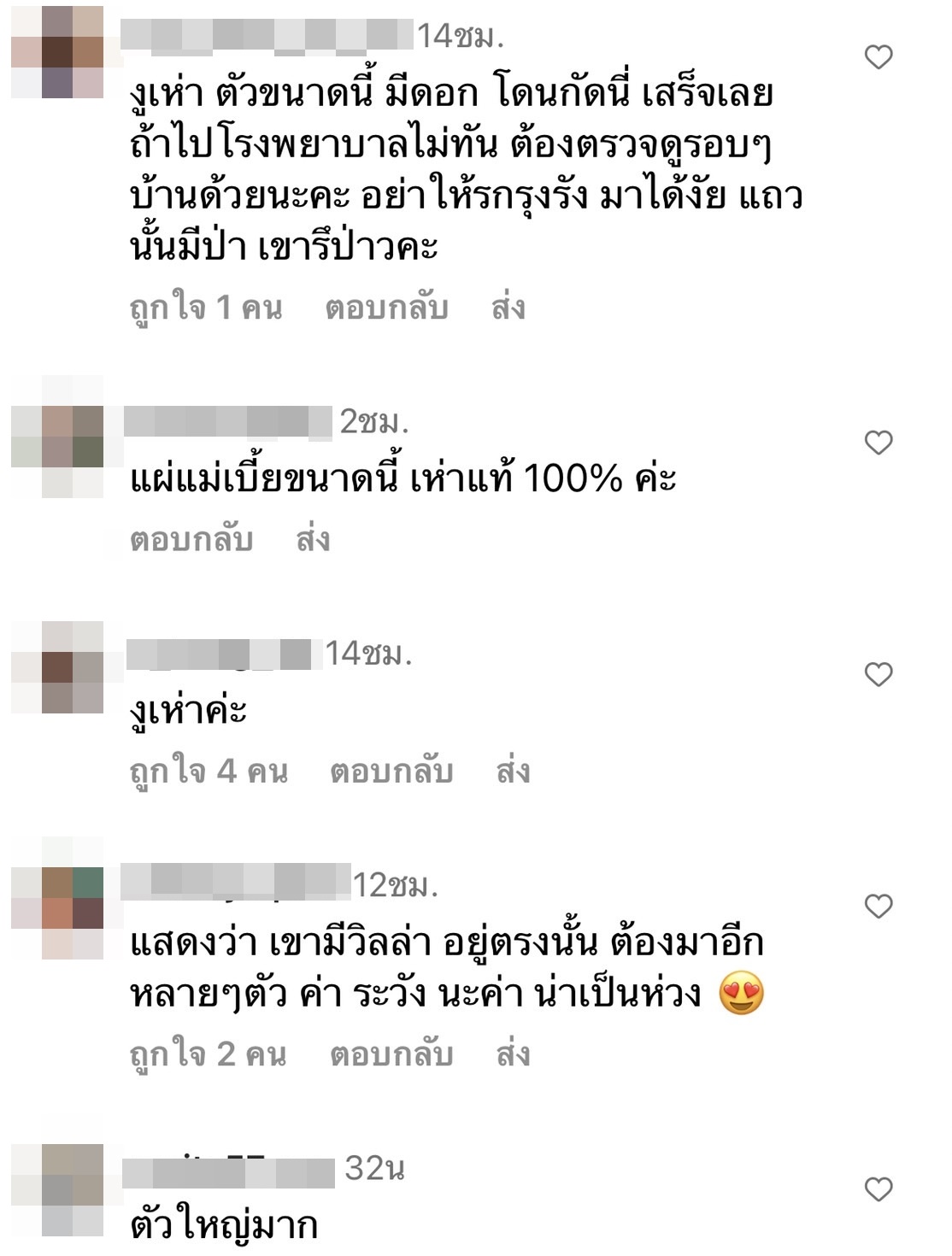ก้อย รัชวิน กรี๊ดลั่น!  งูบุกบ้าน ด้านแฟนคลับเป็นห่วงพร้อมถามเลขที่บ้าน!? 