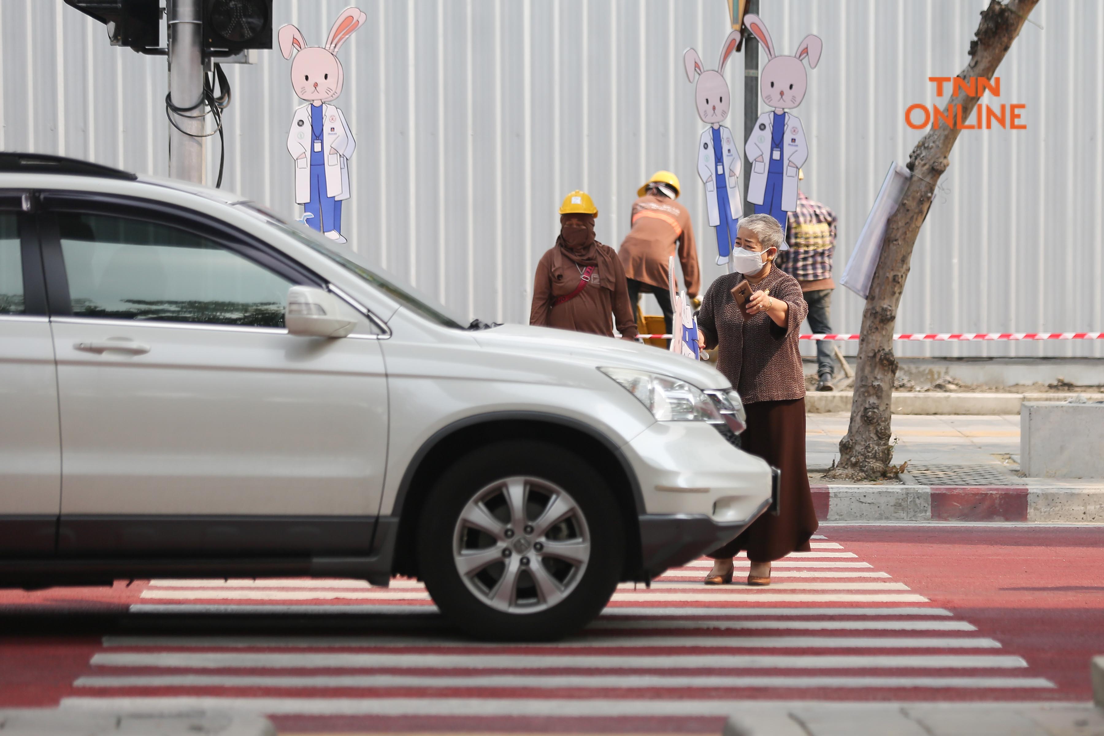 ประมวลภาพ “ทาง​​​​กระต่าย” ปลุกจิตสำนึกผู้ใช้ถนนหยุดรถให้คนข้ามทางม้าลาย