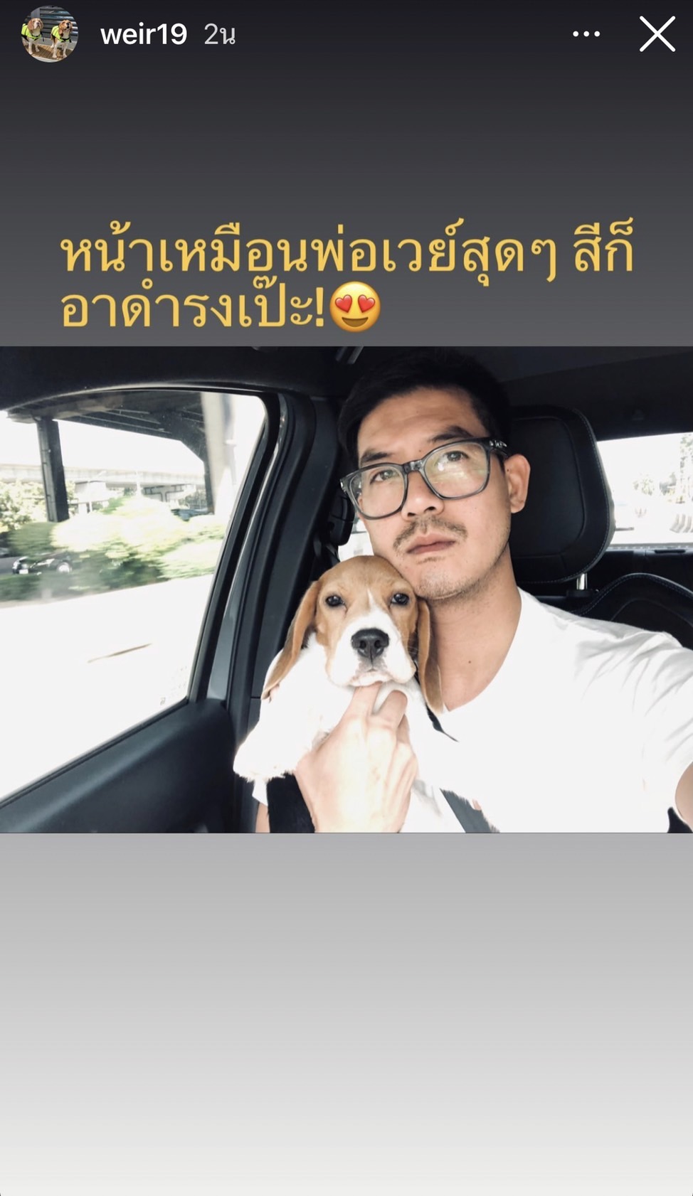 เวียร์ ลงไอจีสตอรี่ล่าสุด ภาพคู่น้องหมาสุดน่ารัก เวียร์ ลงไอจีสตอรี่ล่าสุด ภาพคู่น้องหมาสุดน่ารัก