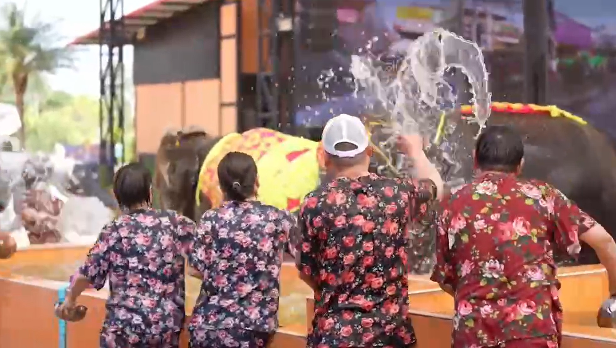 เล่นน้ำสงกรานต์กับช้าง! สวนนงนุชพัทยา จัดความสนุกต้อนรับนทท.จีนเกือบพันคน