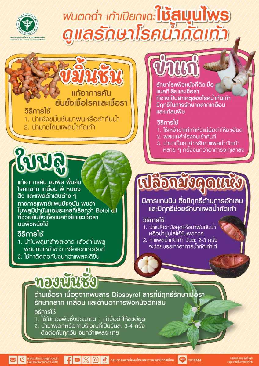 แนะ 5 สมุนไพร รักษาอาการ โรคผิวหนัง - น้ำกัดเท้า ช่วงฤดูฝน แนะ 5 สมุนไพร รักษาอาการ โรคผิวหนัง - น้ำกัดเท้า ช่วงฤดูฝน