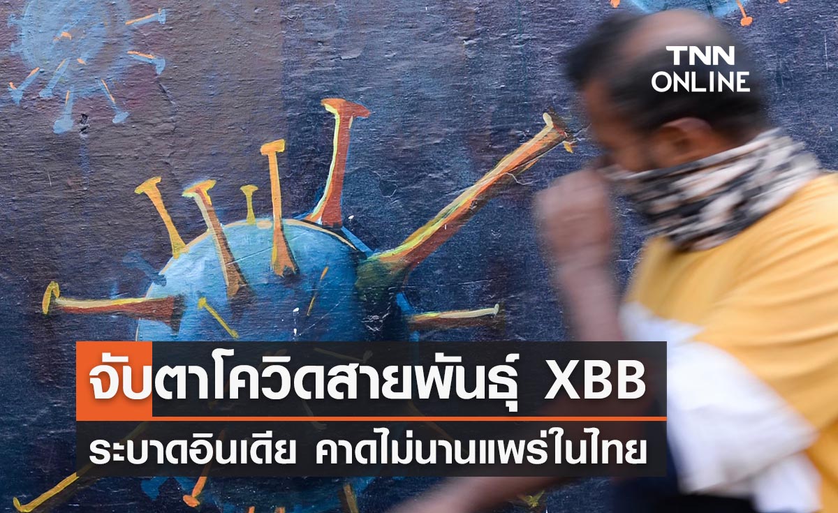 หมอมนูญจับตาโควิดพันธุ์ XBB ระบาดอินเดีย คาดไม่นานแพร่ในไทย