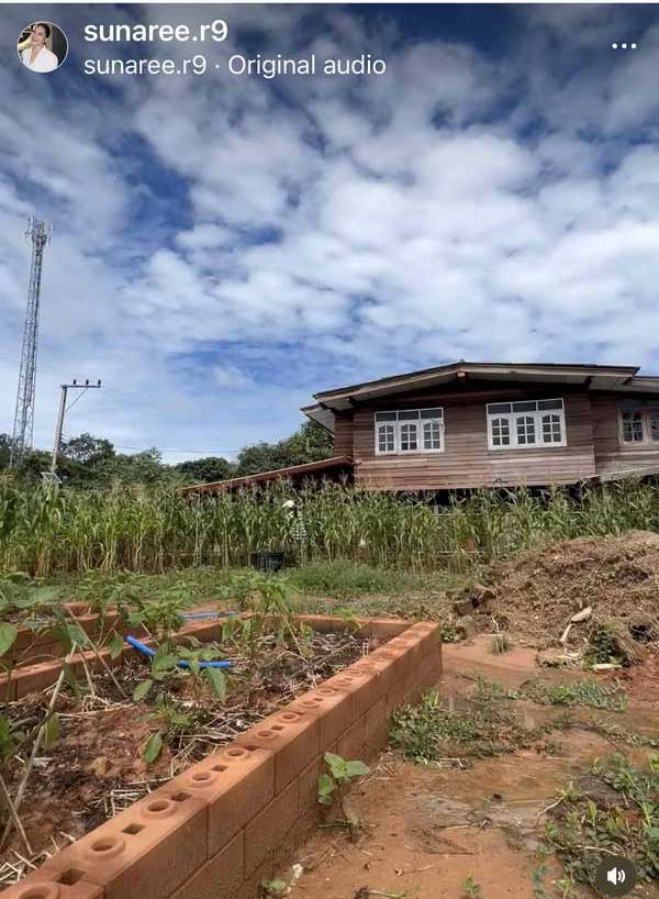 สุนารี ราชสีมา เปิดวิถีชิวิตล่าสุด กลับอยู่โคราชตามคำสั่งเสียแม่ นั่งซาเล้งขายข้าวโพด สุนารี ราชสีมา เปิดวิถีชิวิตล่าสุด กลับอยู่โคราชตามคำสั่งเสียแม่ นั่งซาเล้งขายข้าวโพด