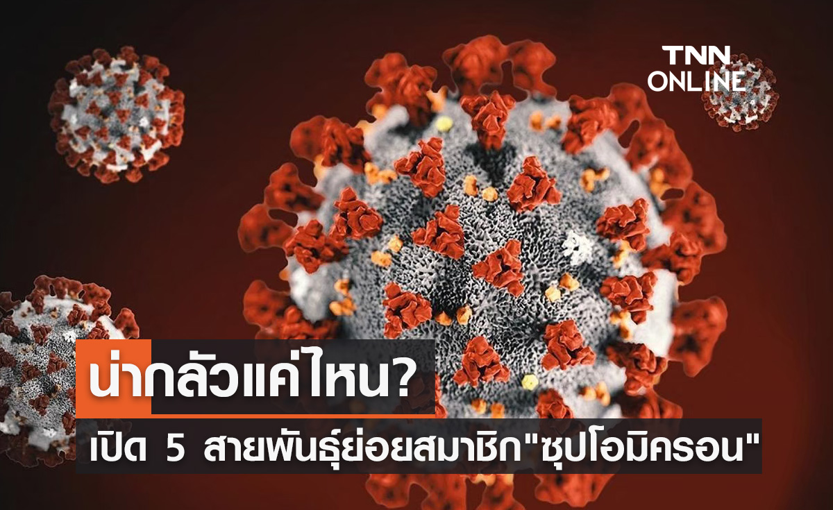เปิด 5 สายพันธุ์ย่อยสมาชิก "ซุปโอมิครอน" ที่ต้องติดตาม น่ากลัวแค่ไหน?