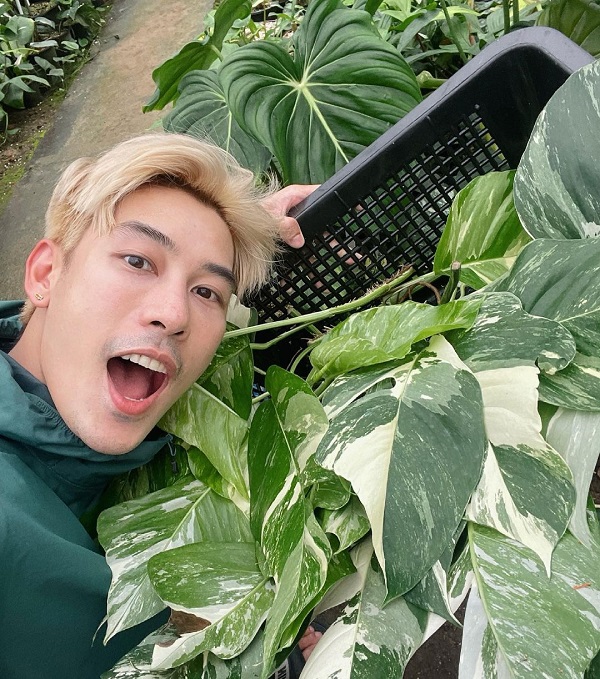 เคน ภูภูมิ เปิดประมูลกล้วยด่าง ไม่กี่ชั่วโมงได้ราคาเกินแสน (มีคลิป) เคน ภูภูมิ เปิดประมูลกล้วยด่าง ไม่กี่ชั่วโมงได้ราคาเกินแสน (มีคลิป)